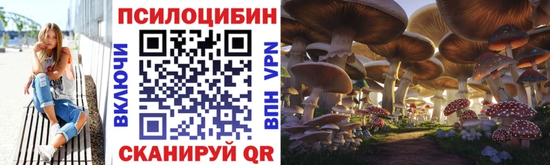 Псилоцибиновые грибы MAGIC MUSHROOMS наркота Брянск